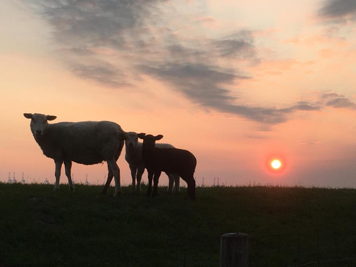 Annemaries Nordseehaus Butjadingen Bagian luar foto